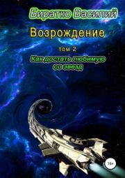 Книга - Как достать любимую со звезд.  Василий Федорович Биратко  - прочитать полностью в библиотеке КнигаГо