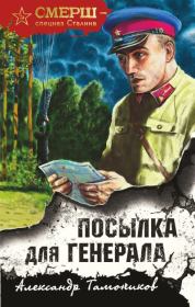 Книга - Посылка для генерала.  Александр Александрович Тамоников  - прочитать полностью в библиотеке КнигаГо