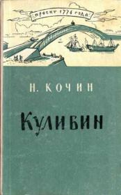 Книга - Кулибин.  Николай Иванович Кочин  - прочитать полностью в библиотеке КнигаГо