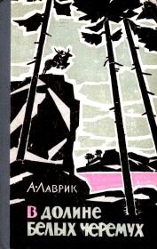 Книга - В долине белых черемух.  Александр Григорьевич Лаврик  - прочитать полностью в библиотеке КнигаГо