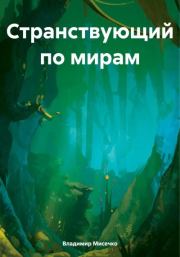 Книга - Странствующий по мирам.  Владимир Александрович Мисечко  - прочитать полностью в библиотеке КнигаГо
