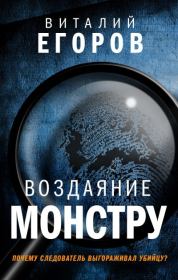 Книга - Воздаяние монстру.  Виталий Михайлович Егоров  - прочитать полностью в библиотеке КнигаГо