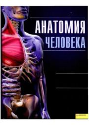 Анатомия человека. Иллюстрированный атлас.  Коллектив авторов