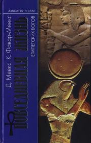 Книга - Повседневная жизнь египетских богов.  Димитри Меекс , Кристин Фавар-Меекс  - прочитать полностью в библиотеке КнигаГо