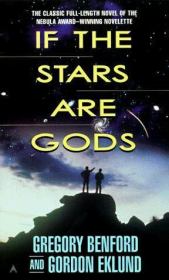 Книга - А если звезды — это боги?.  Грегори Бенфорд  - прочитать полностью в библиотеке КнигаГо