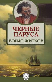 Книга - Черные паруса.  Борис Степанович Житков  - прочитать полностью в библиотеке КнигаГо