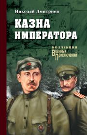 Книга - Казна императора.  Николай Николаевич Дмитриев  - прочитать полностью в библиотеке КнигаГо