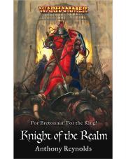 Книга - Владетельный рыцарь.  Энтони Рейнольдс  - прочитать полностью в библиотеке КнигаГо