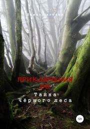 Книга - Приключения ДД. Тайна Чёрного леса.  Евгения Ляшко  - прочитать полностью в библиотеке КнигаГо