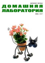 Интернет-журнал "Домашняя лаборатория", 2007 №6.  Автор неизвестен