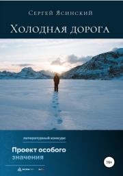 Книга - Холодная дорога.  Сергей Леонидович Ясинский  - прочитать полностью в библиотеке КнигаГо