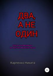 Книга - Два, а не один.  Никита Алексеевич Карпенко  - прочитать полностью в библиотеке КнигаГо
