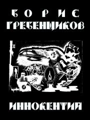 Книга - Иннокентий.  Борис Борисович Гребенщиков  - прочитать полностью в библиотеке КнигаГо