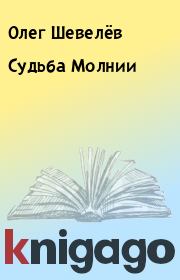 Книга - Судьба Молнии.  Олег Шевелёв  - прочитать полностью в библиотеке КнигаГо