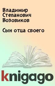 Книга - Сын отца своего.  Владимир Степанович Возовиков  - прочитать полностью в библиотеке КнигаГо