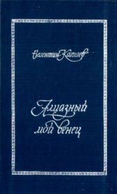 Книга - Трава забвенья.  Валентин Петрович Катаев  - прочитать полностью в библиотеке КнигаГо