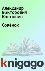 Книга - Совёнок.  Александр Викторович Костюнин  - прочитать полностью в библиотеке КнигаГо