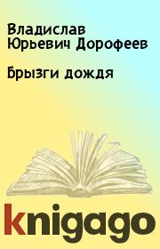 Книга - Брызги дождя.  Владислав Юрьевич Дорофеев  - прочитать полностью в библиотеке КнигаГо