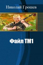 Файл ТМ1 (СИ). Николай Геннадьевич Грошев