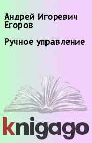 Книга - Ручное управление.  Андрей Игоревич Егоров  - прочитать полностью в библиотеке КнигаГо