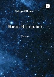 Книга - Ночь Ватерлоо.  Григорий Александрович Шепелев  - прочитать полностью в библиотеке КнигаГо
