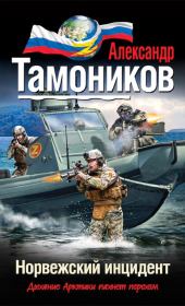Книга - Норвежский инцидент.  Александр Александрович Тамоников  - прочитать полностью в библиотеке КнигаГо