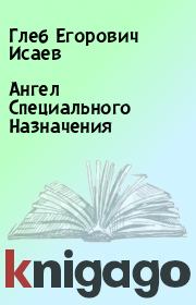 Книга - Ангел Специального Назначения.  Глеб Егорович Исаев  - прочитать полностью в библиотеке КнигаГо
