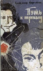 Книга - Путь к перевалу.  Владимир Владимирович Корчагин  - прочитать полностью в библиотеке КнигаГо