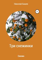 Книга - Три снежинки.  Николай Сергеевич Башев  - прочитать полностью в библиотеке КнигаГо