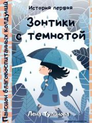 Книга - Зонтики с темнотой.  Лена Тулинова  - прочитать полностью в библиотеке КнигаГо