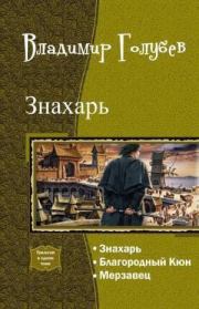 Книга - Знахарь.  Владимир Евгеньевич Голубев  - прочитать полностью в библиотеке КнигаГо