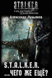 Книга - S.T.A.L.K.E.R. ...чего же ещё?.  Александр Николаевич Лукьянов  - прочитать полностью в библиотеке КнигаГо