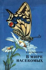 Книга - В мире насекомых.  Дмитрий Викторович Панфилов  - прочитать полностью в библиотеке КнигаГо