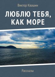 Книга - Люблю тебя, как Море.  Виктор Квашин  - прочитать полностью в библиотеке КнигаГо