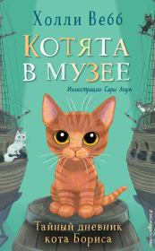 Книга - Тайный дневник кота Бориса.  Холли Вебб  - прочитать полностью в библиотеке КнигаГо