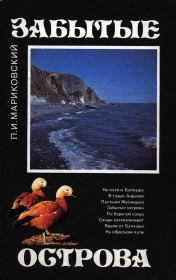 Книга - Забытые острова.  Павел Иустинович Мариковский  - прочитать полностью в библиотеке КнигаГо