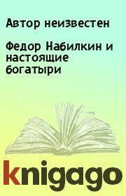 Книга - Федор Набилкин и настоящие богатыри.   Автор неизвестен  - прочитать полностью в библиотеке КнигаГо