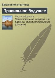 Книга - Правильное будущее.  Евгений Михайлович Константинов  - прочитать полностью в библиотеке КнигаГо
