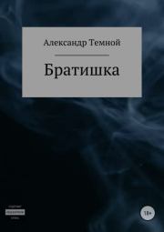 Книга - Братишка.  Александр Валерьевич Темной  - прочитать полностью в библиотеке КнигаГо