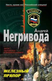 Книга - Железный прапор.  Андрей Алексеевич Негривода  - прочитать полностью в библиотеке КнигаГо