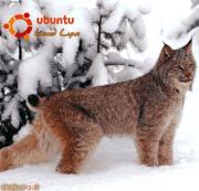 Книга - Руководство по переходу на Ubuntu 10.04 LTS «Lucid Lynx».  Вадим Неворотин  - прочитать полностью в библиотеке КнигаГо