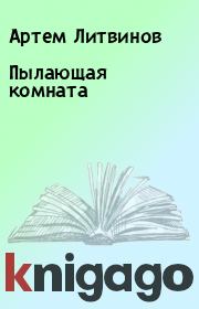 Книга - Пылающая комната.  Артем Литвинов , Борис Андреев  - прочитать полностью в библиотеке КнигаГо