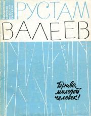 Книга - Браво, молодой человек!.  Рустам Шавлиевич Валеев  - прочитать полностью в библиотеке КнигаГо