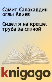 Книга - Сидел я на крыше, труба за спиной.  Самит Салахаддин оглы Алиев  - прочитать полностью в библиотеке КнигаГо