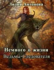 Книга - Немного о жизни ведьмы-следователя (СИ).  Лидия Антонова  - прочитать полностью в библиотеке КнигаГо