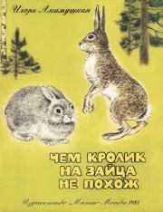 Чем кролик на зайца не похож. Игорь Иванович Акимушкин