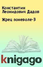 Книга - Жрец поневоле-3.  Константин Леонидович Дадов  - прочитать полностью в библиотеке КнигаГо