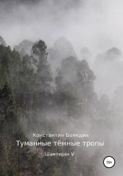 Книга - Туманные тёмные тропы.  Константин Юрьевич Бояндин  - прочитать полностью в библиотеке КнигаГо