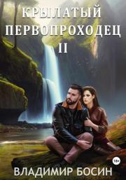 Книга - Крылатый первопроходец 2.  Владимир  Георгиевич Босин  - прочитать полностью в библиотеке КнигаГо