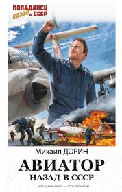 Книга - Авиатор: Назад в СССР.  Михаил Дорин  - прочитать полностью в библиотеке КнигаГо